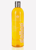 Carr & Day & Martin Gallop Colour Enhancing Shampoo - Chestnut & Palomino