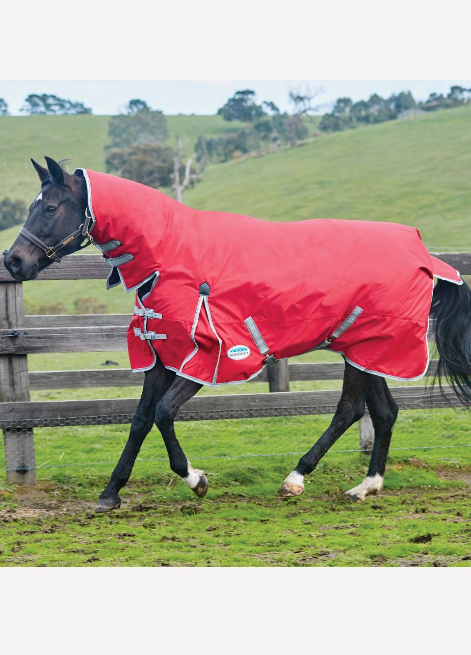 WeatherBeeta ComFiTec Classic Combo Neck Lite - Red/Silver/Navy