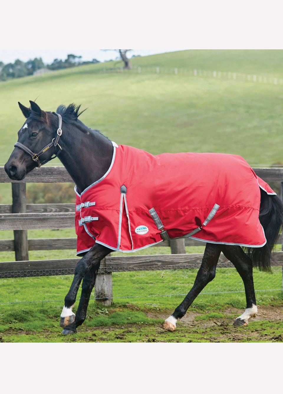 WeatherBeeta ComFiTec Classic Std Neck Lite - Red/Silver/Navy