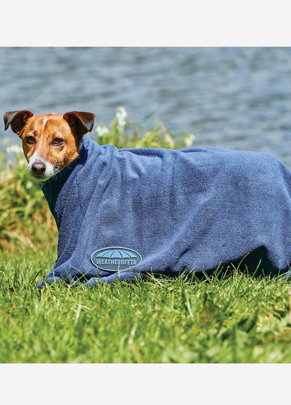 Weatherbeeta Dry-Dog Bag - Navy
