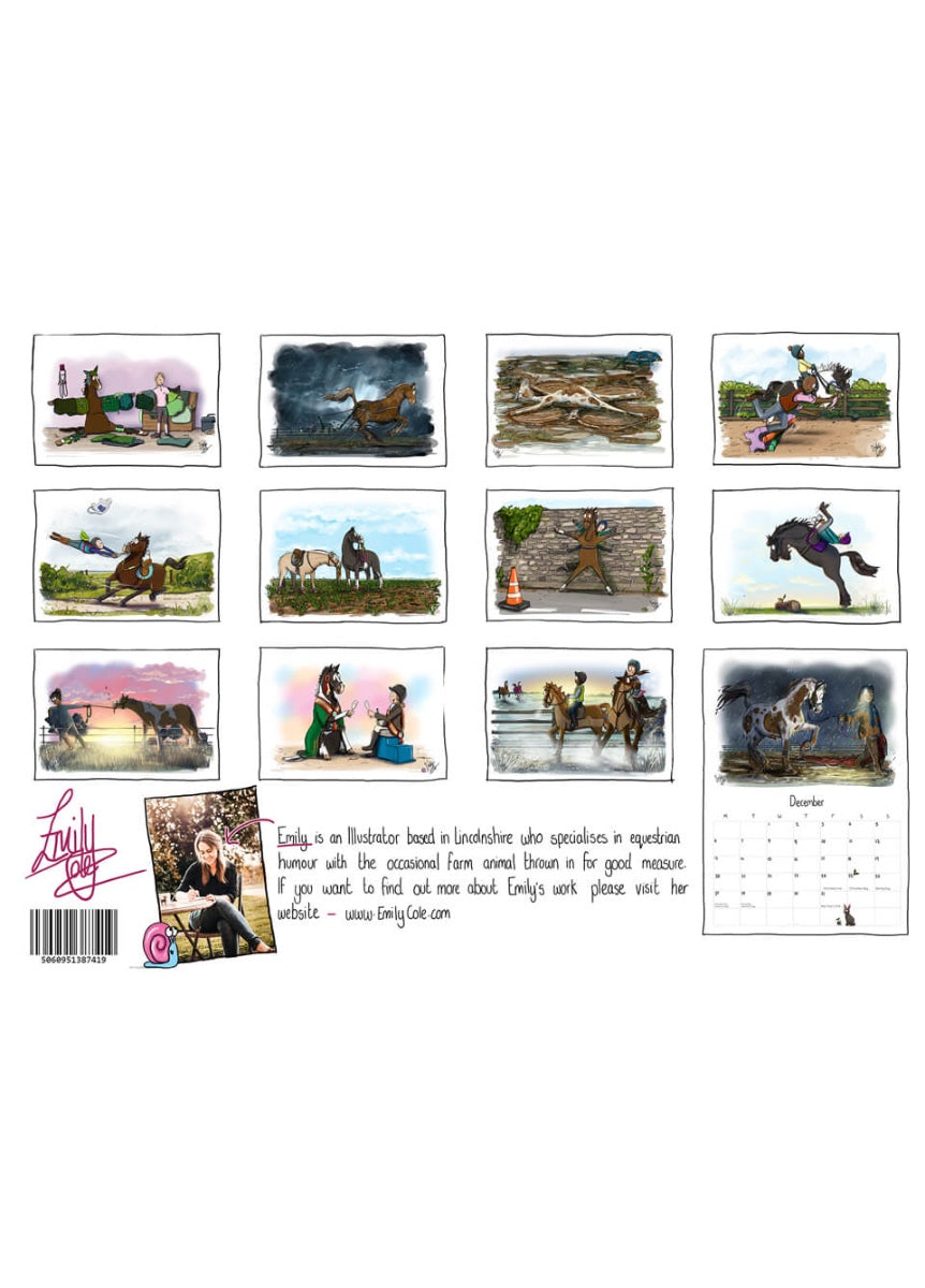 Emily Cole 2027 Wall Calendar
