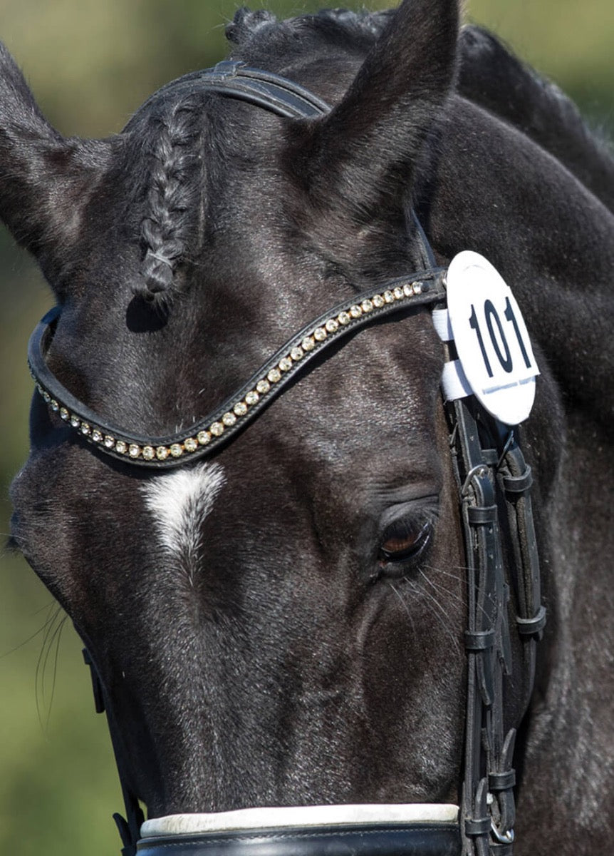 Equetech Bridle Number Holder (Pair) - White