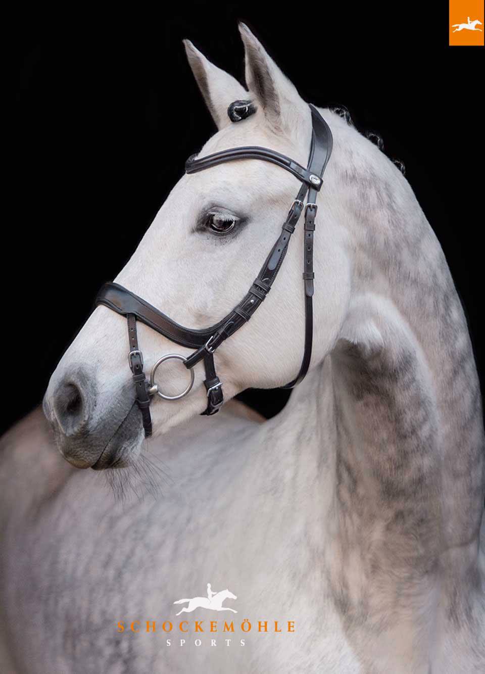 Schockemohle Equitus Alpha Bridle - Black