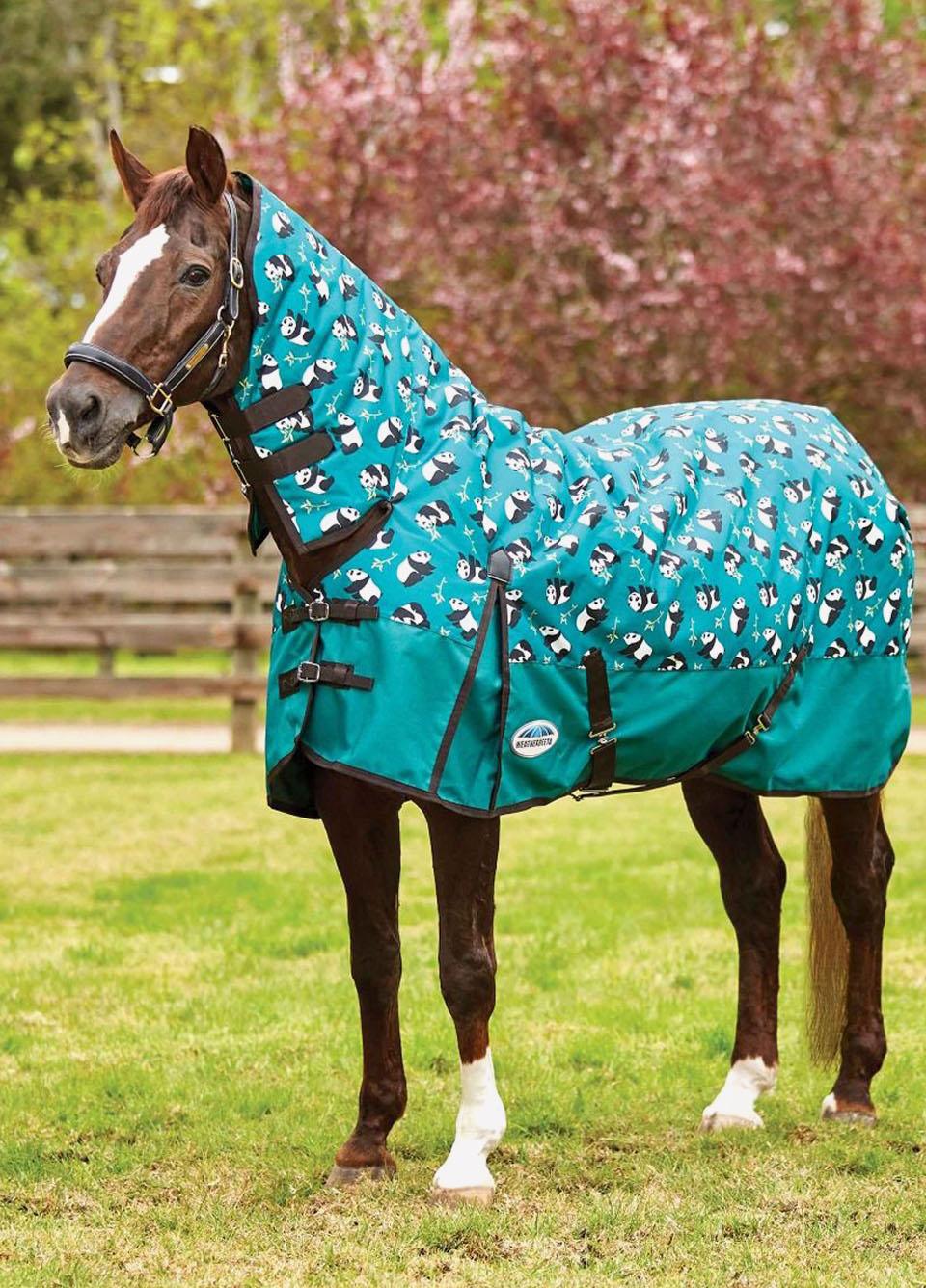 Weatherbeeta ComFiTec Essential Combo Medium Turnout - Panda Print