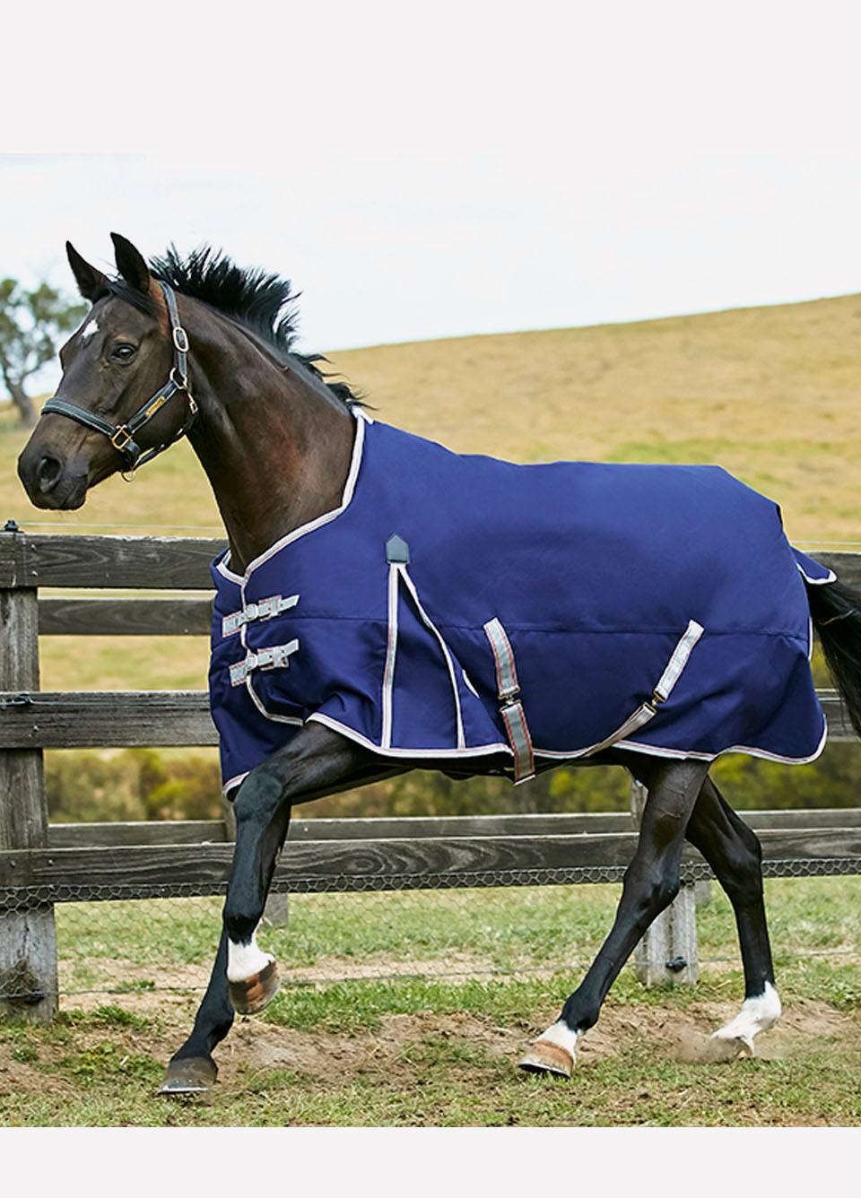 Weatherbeeta Comfitec Essential Standard Lite Plus Turnout - Navy/Silver/Red