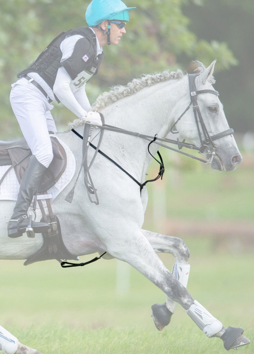 Fairfax Performance Martingale - Brown