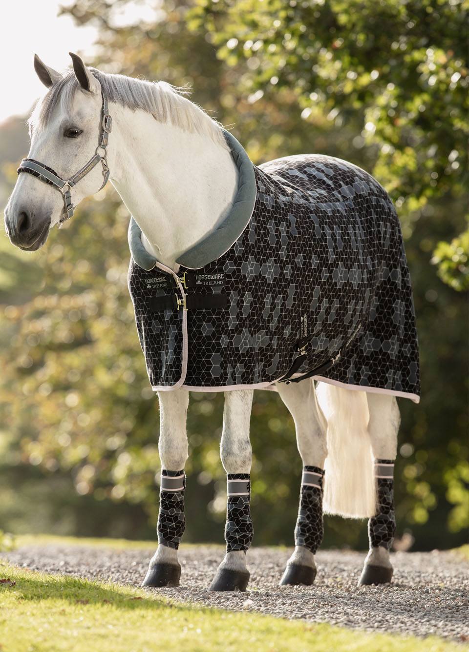 Rambo Fashion Cosy Fleece - Hexagon