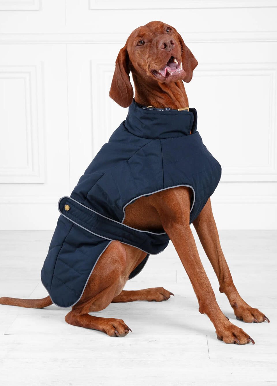 Fairfax & Favor Charlotte Padded Dog Coat - Navy