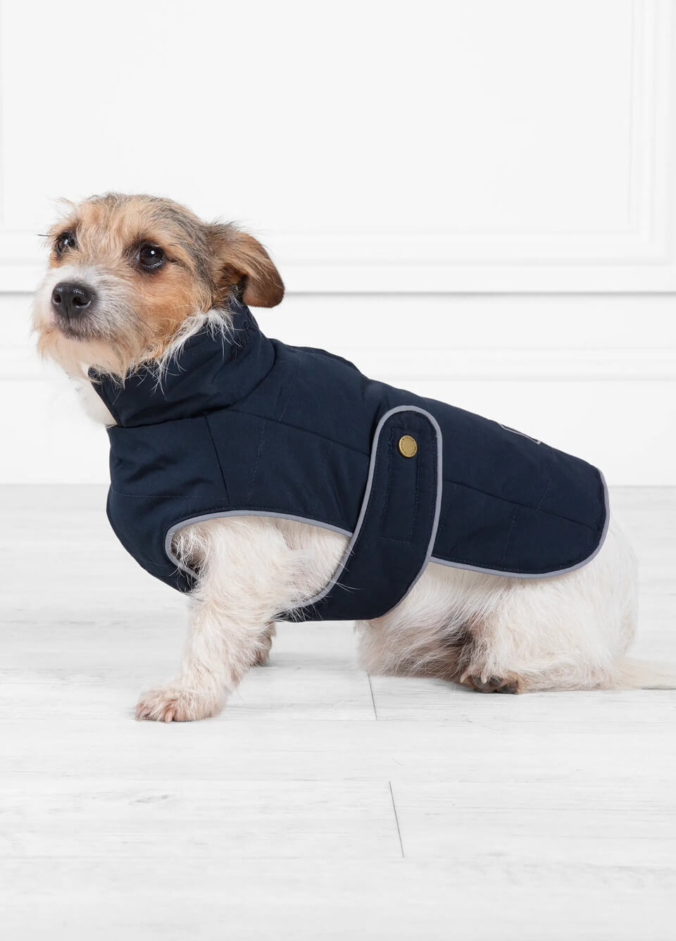 Fairfax & Favor Charlotte Padded Dog Coat - Navy