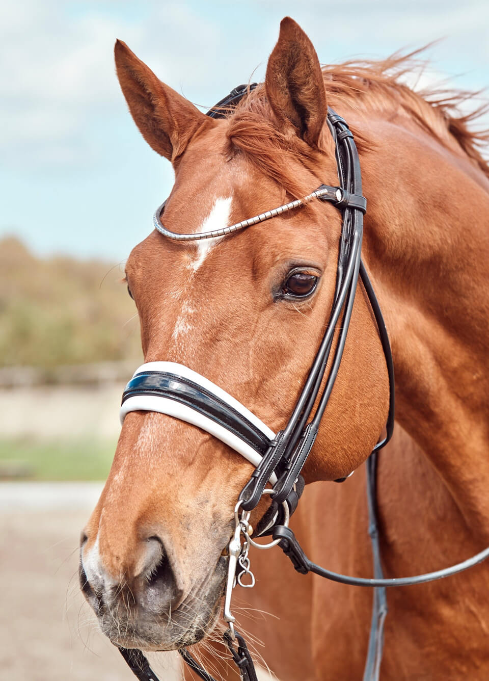 Finesse Cassidy Rolled Double Bridle - Black/Black/Silver
