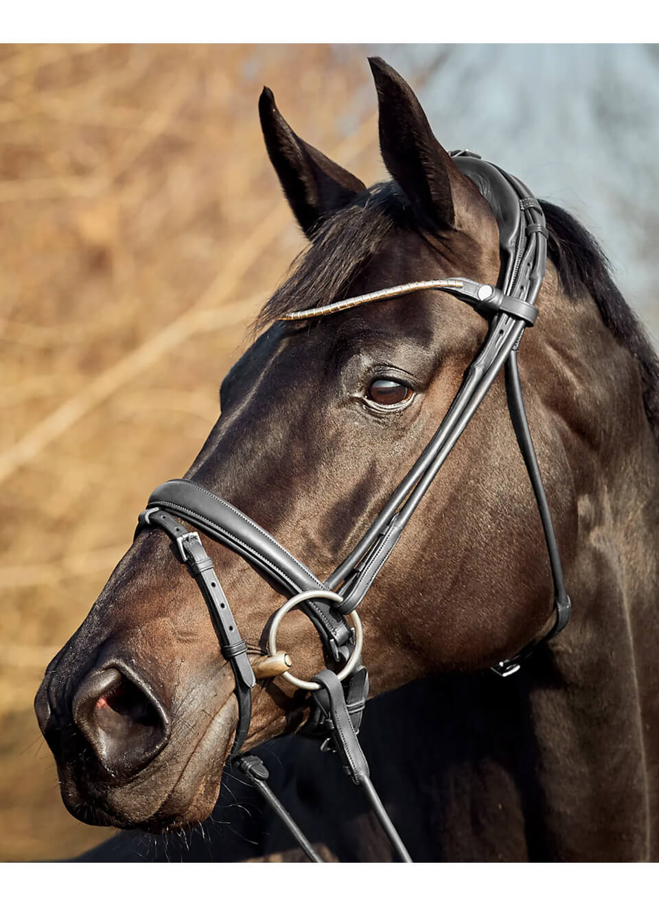Finesse Himalaya Rolled Flash Bridle - Black/Black/Silver
