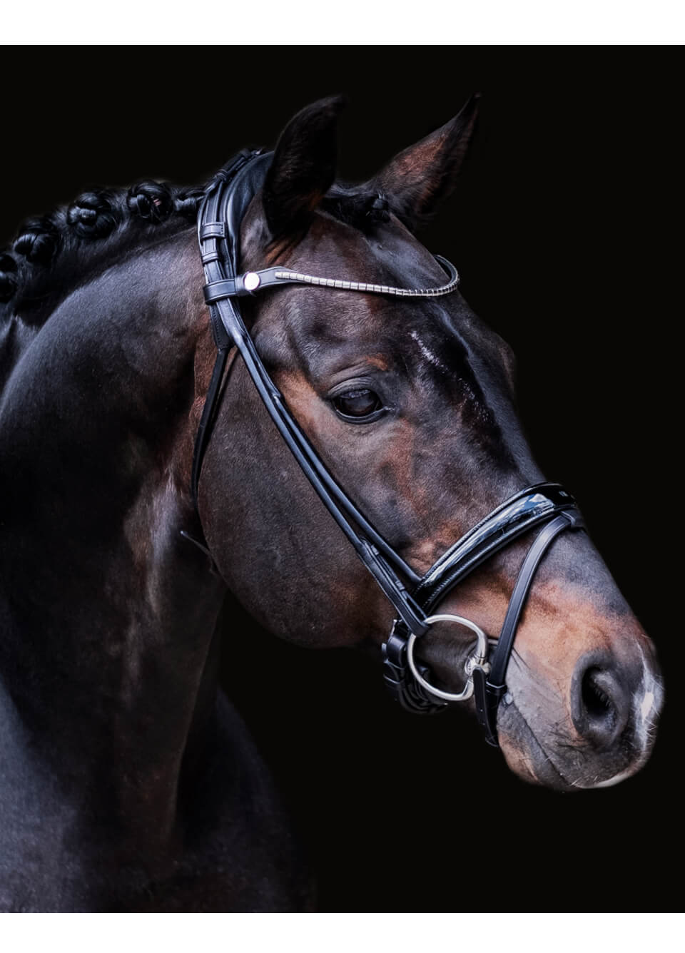 Finesse Himalaya Rolled Flash Patent Bridle - Black/Silver