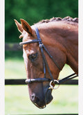 Equilibrium Net Relief Muzzle Net -Brown
