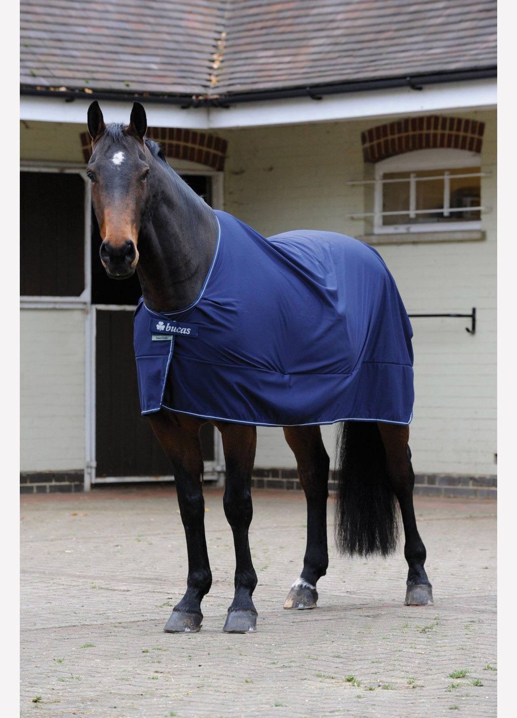 New Bucas Power Cooler - Navy