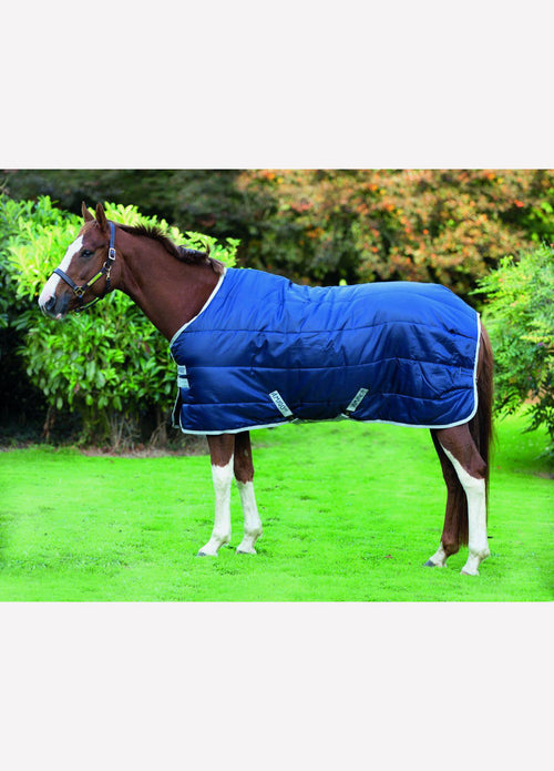 Amigo Medium Insulator Rug - Navy