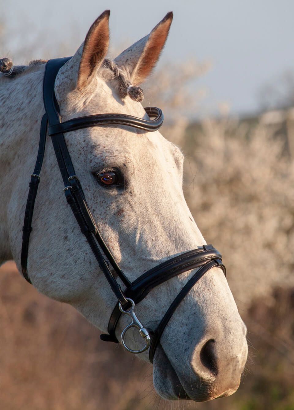 Henry James Comfort Flash Bridle - Black