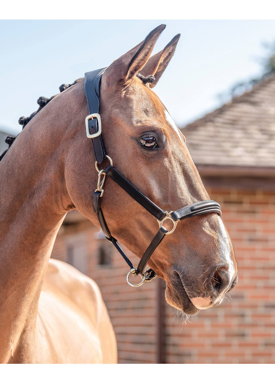 Henry James Comfort 3D Air Headcollar - Havana