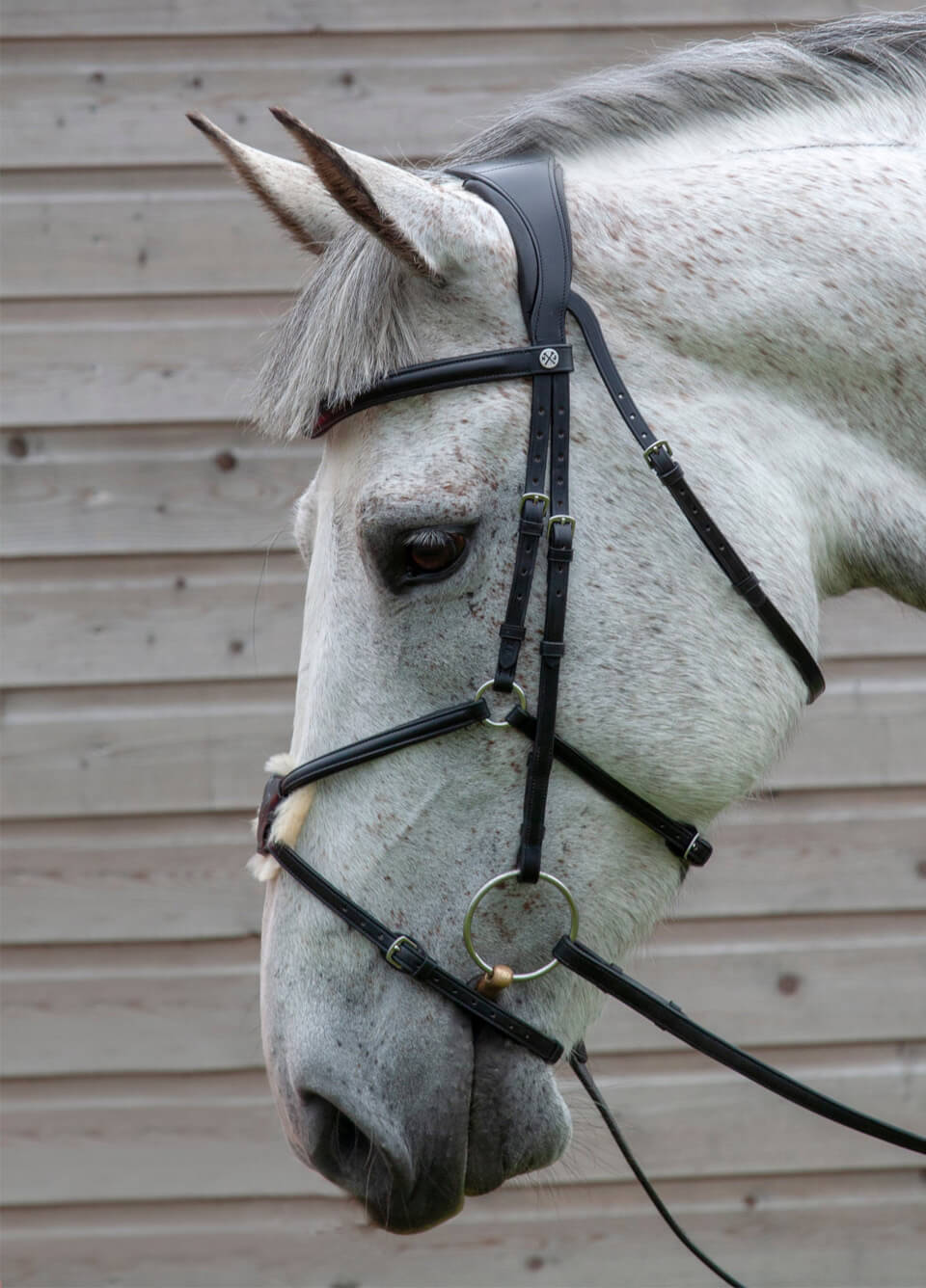 Henry James Mexican Grackle Bridle - Black