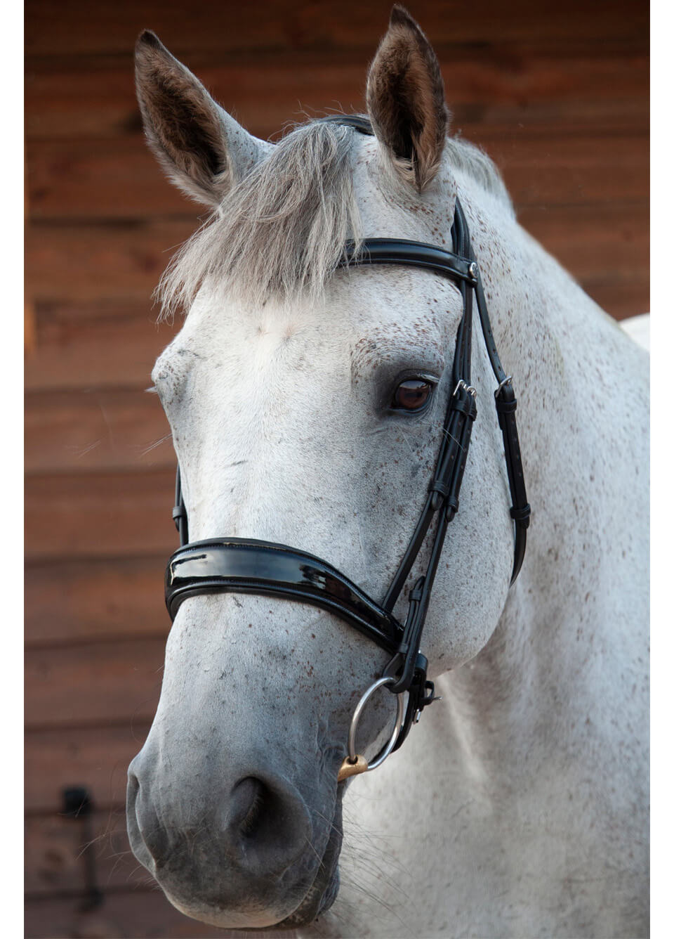 Henry James Patent Dressage Bridle - Black