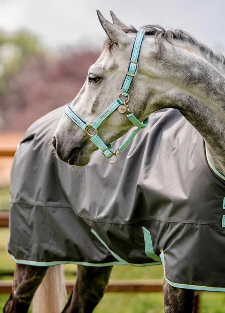 Horseware Signature Fieldsafe Headcollar - Blue Haze