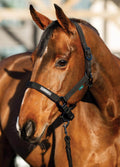 Amigo Headcollar & Leadrope - Black