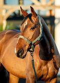 Amigo Headcollar & Leadrope - Bramble