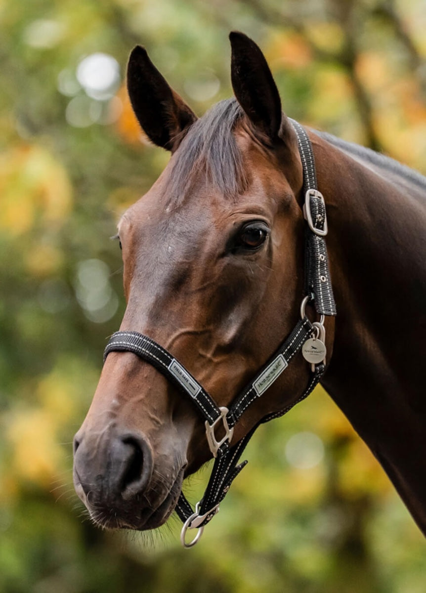 Horseware Fieldsafe Headcollar - Black Reflective