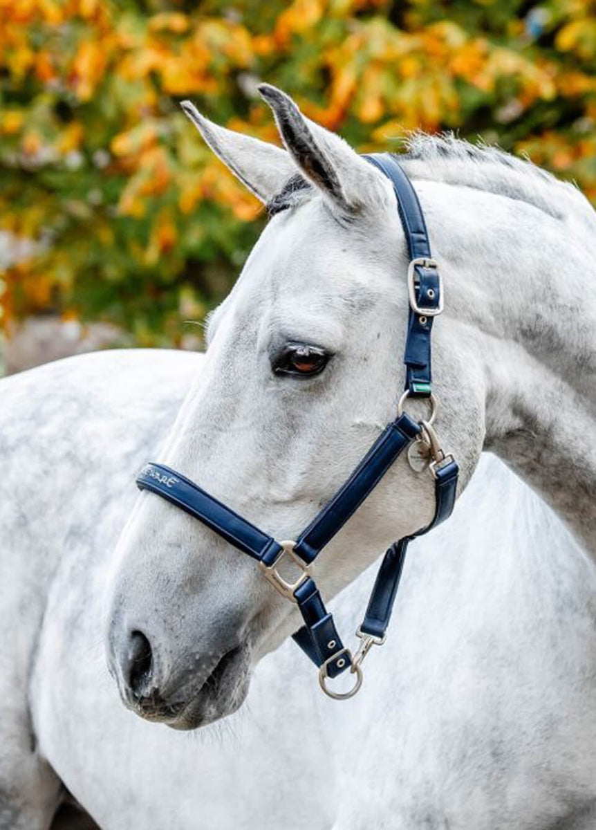 Horseware Grooming Headcollar - Navy