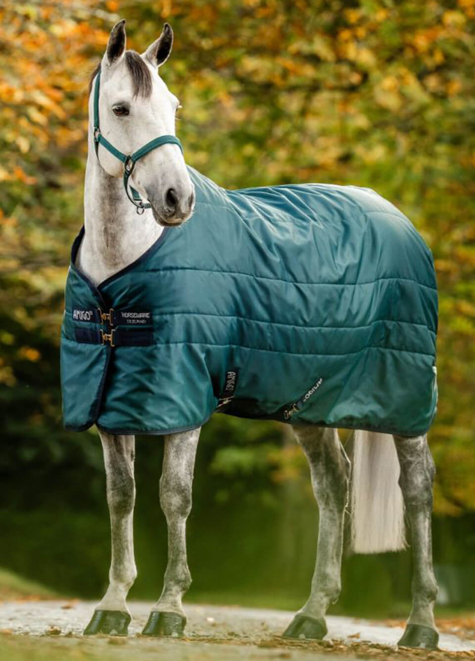 Amigo Ripstop Medium Insulator Stable Rug 200g - Dynasty Green