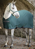 Amigo Jersey Cooler - Dynasty Green