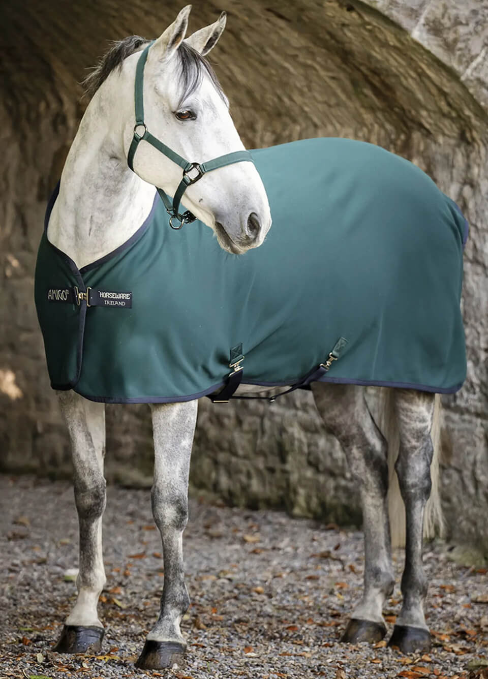 Amigo Jersey Cooler - Dynasty Green