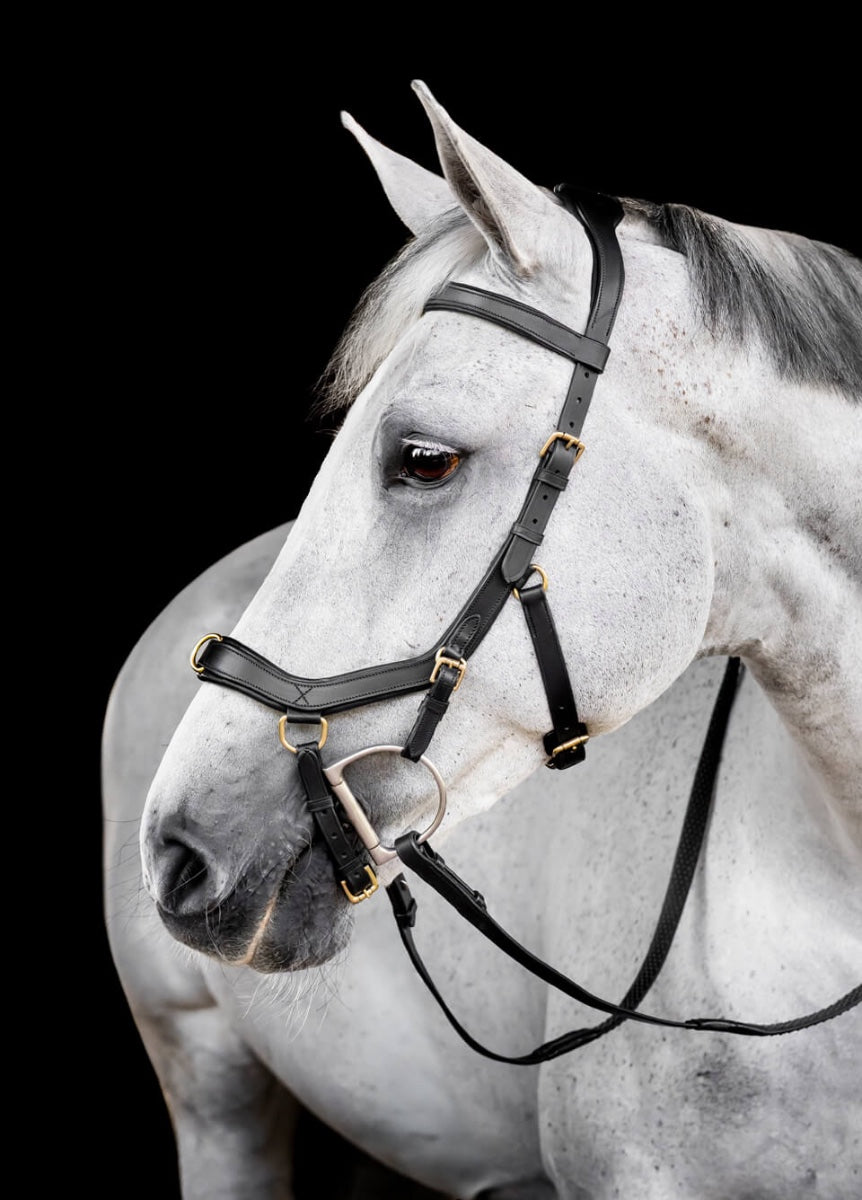 Horseware Micklem Multi Bridle - Black