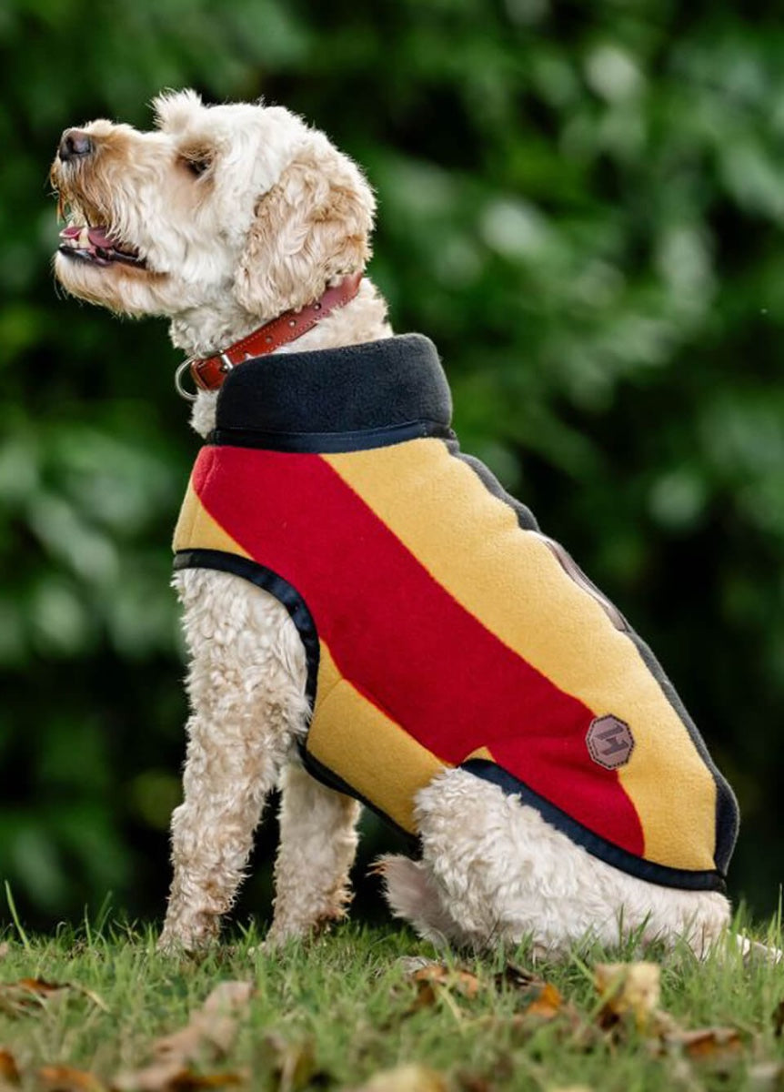 Horseware Newmarket Dog Fleece - Witney Gold