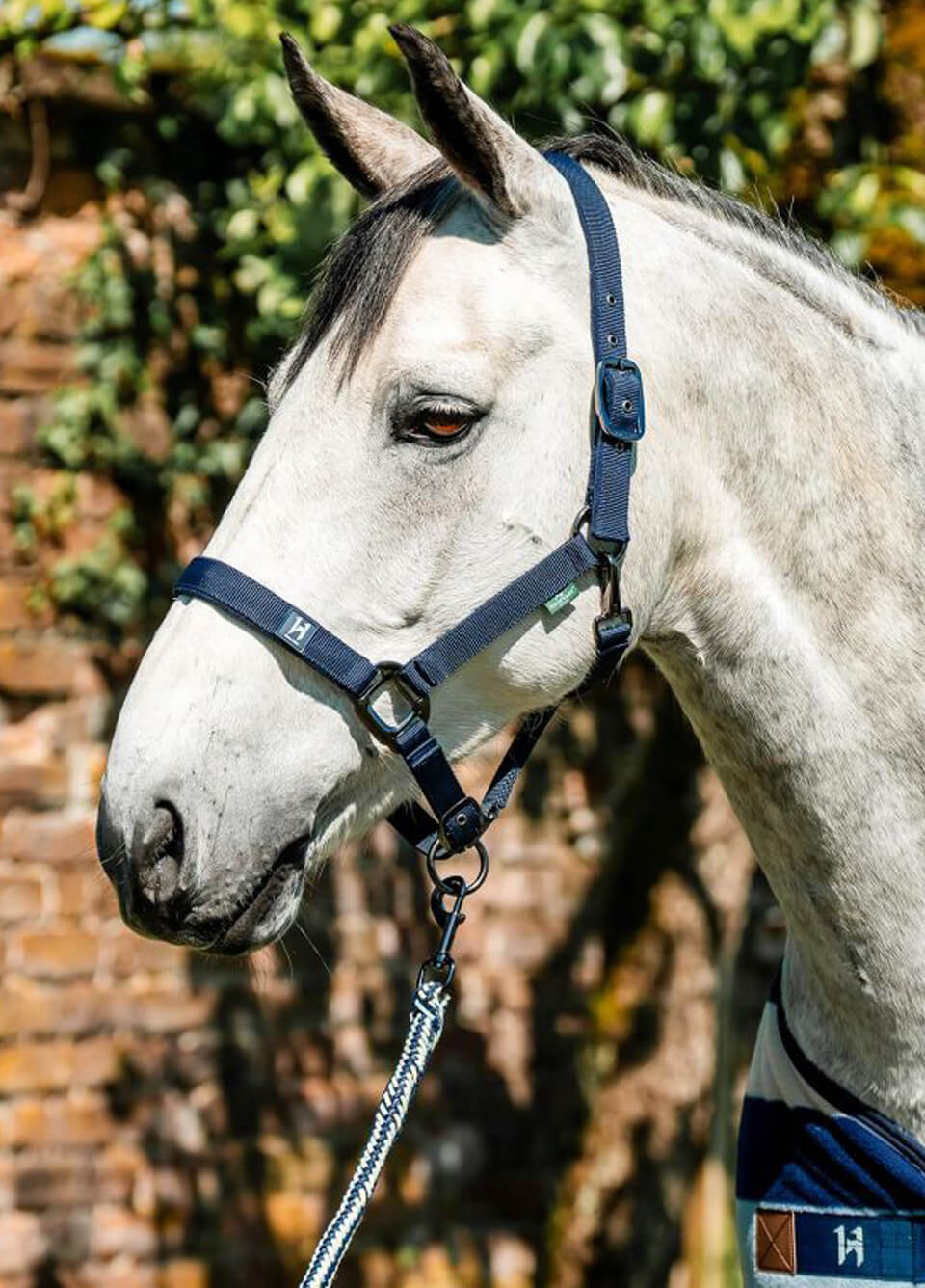 Horseware Newmarket Headcollar & Leadrope - Witney Navy