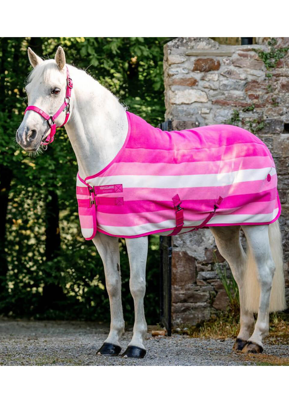 Horseware Newmarket Headcollar & Leadrope - Witney Pink