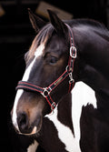 Rambo Padded Headcollar - Black/Tan/Orange