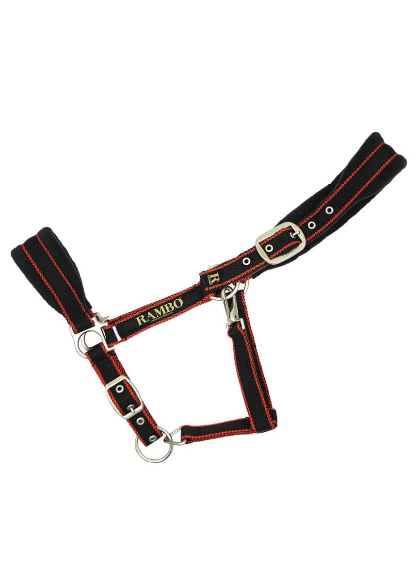 Rambo Padded Headcollar - Black/Tan/Orange