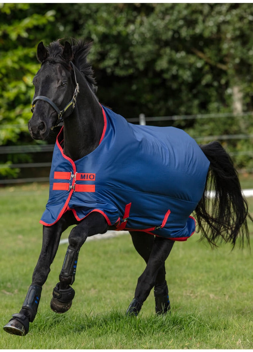 Mio Turnout Lite - Dark Blue/Red