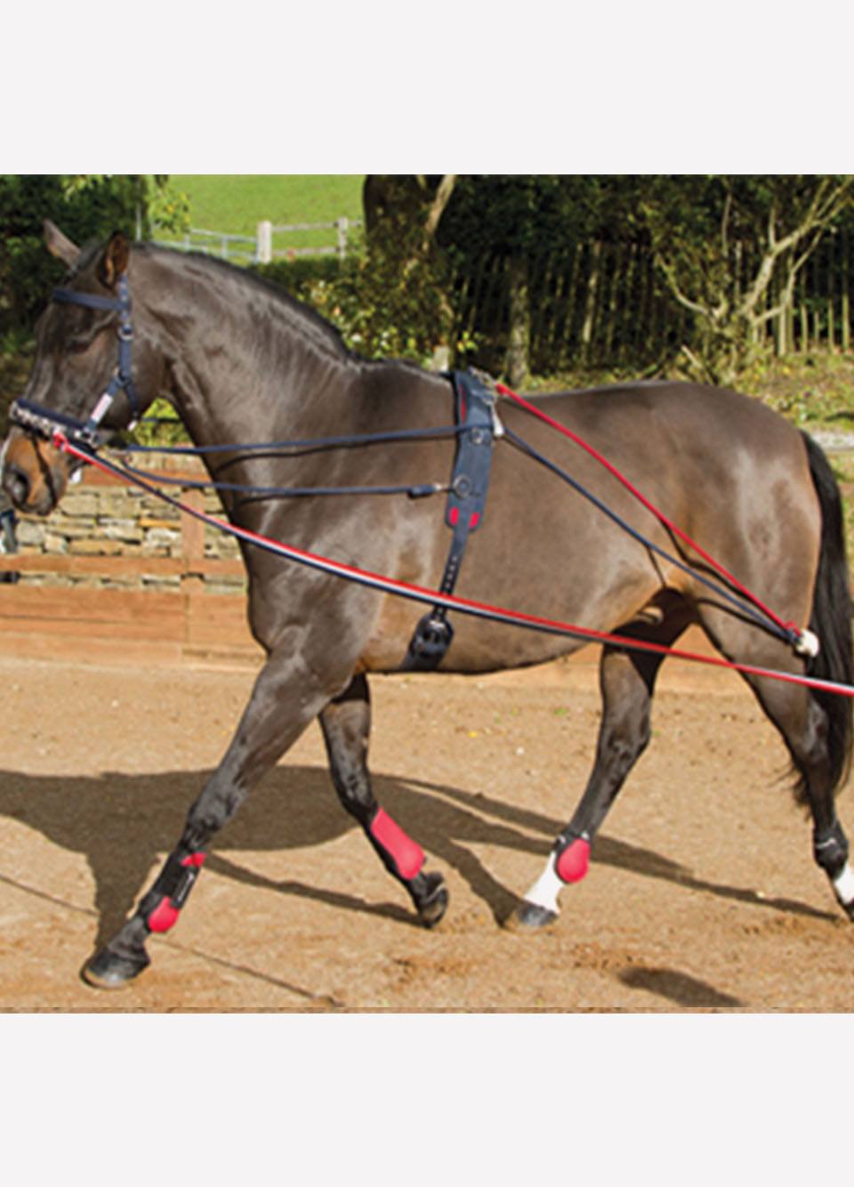 John Whitaker TSR Training System - Navy/Red