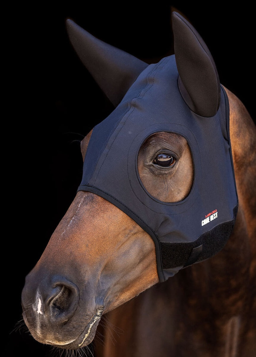 Lami-Cell Come Best Titanium Mask with Ears - Black