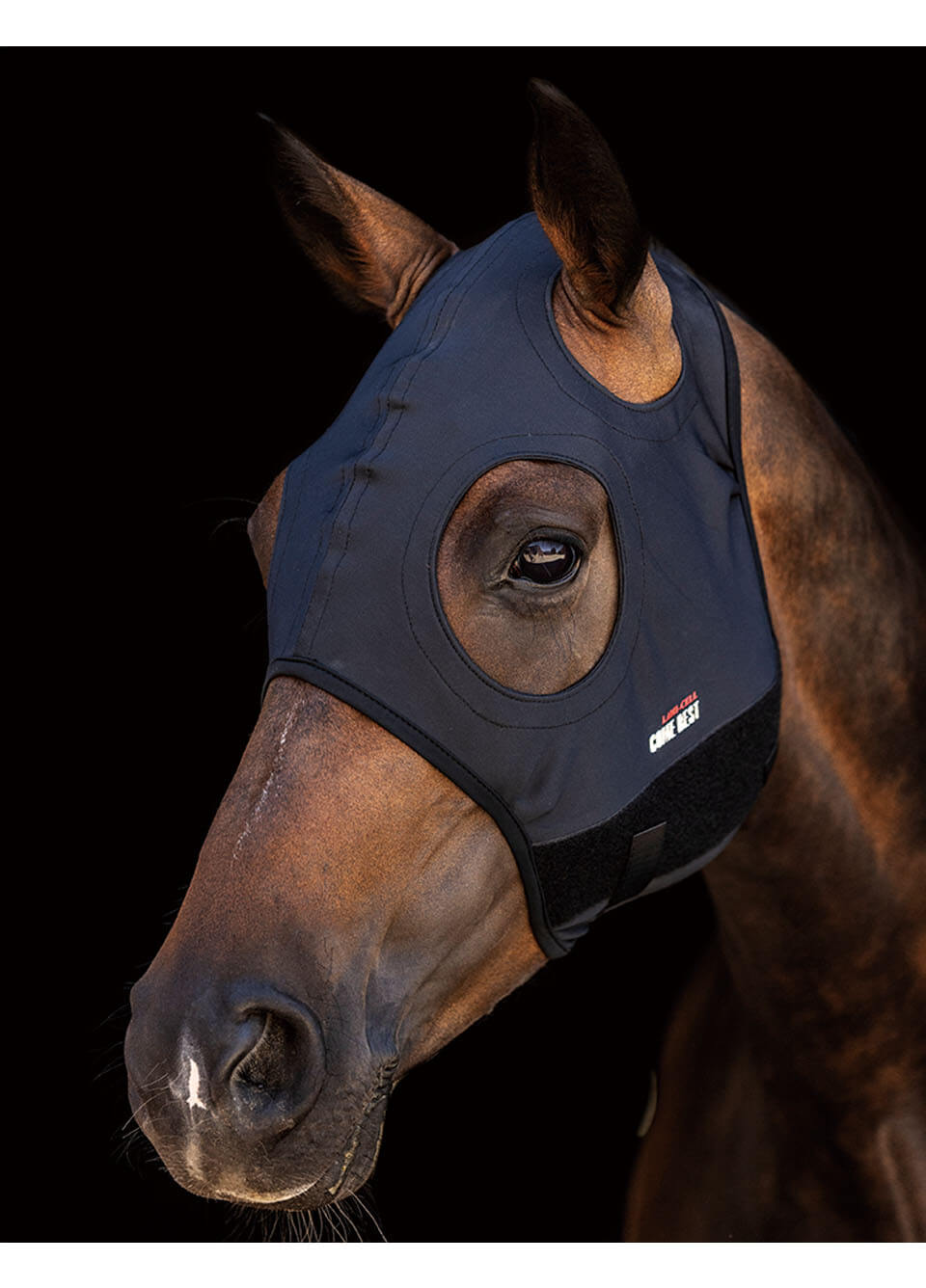Lami-Cell Come Best Titanium Mask No Ears - Black