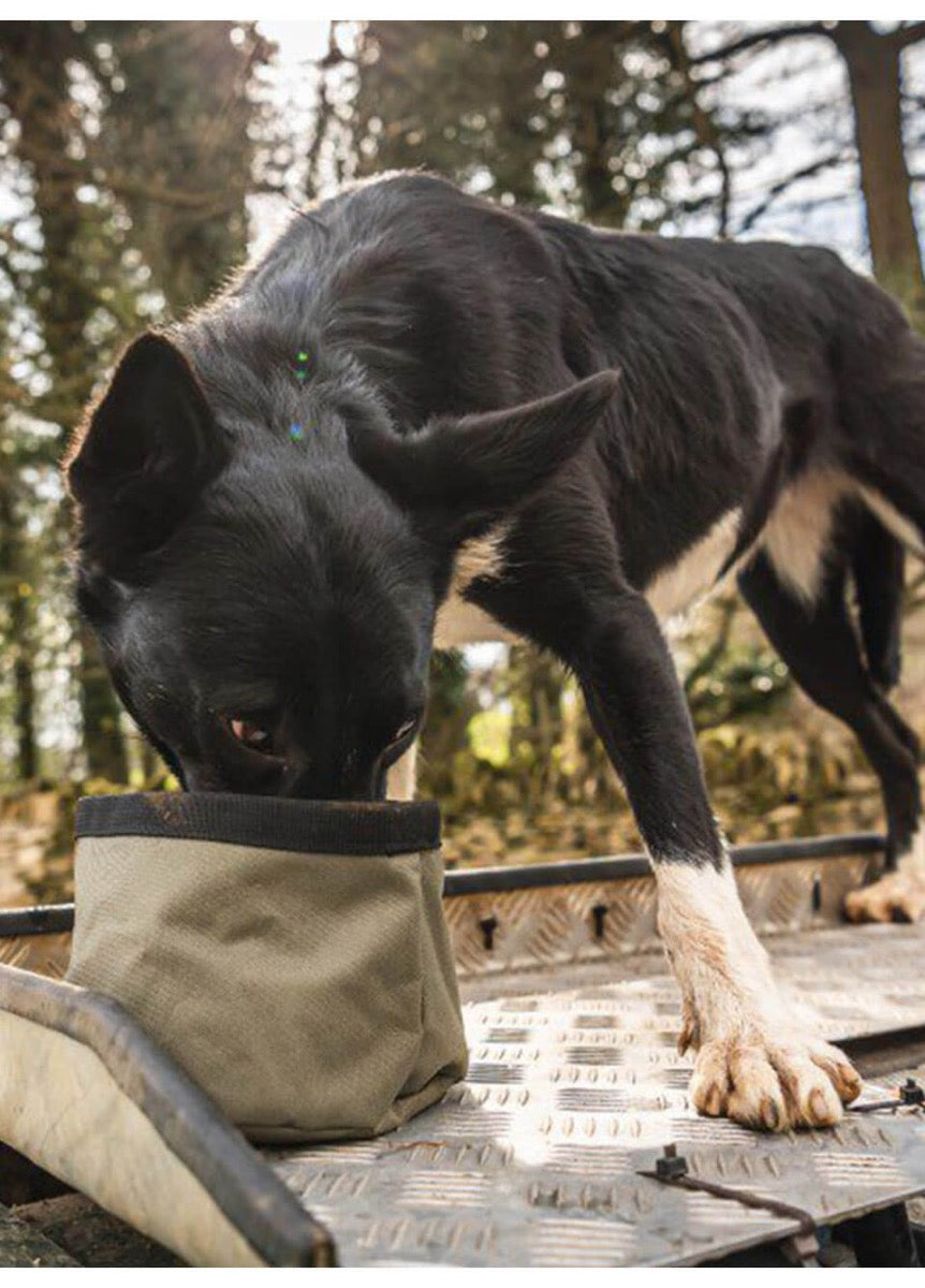 Le Chameau Portable Dog Bowl - Vert Chameau