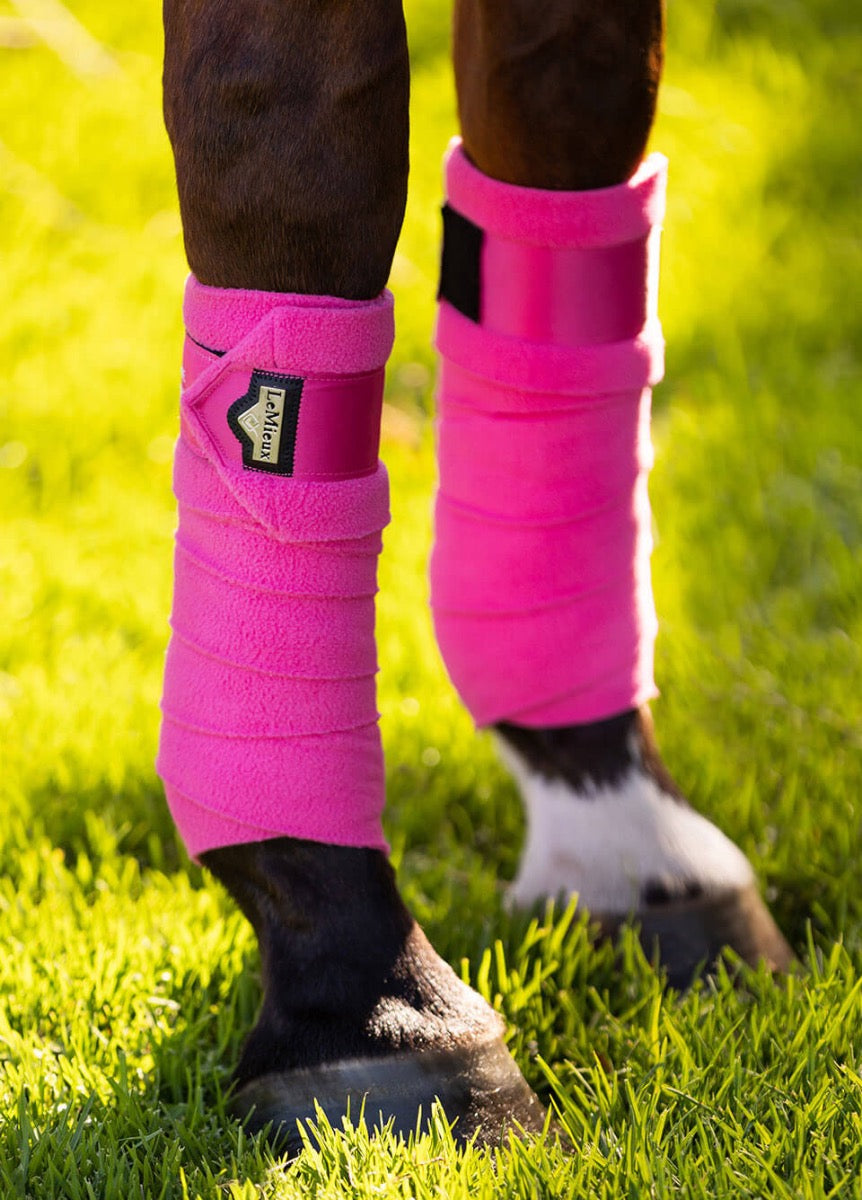 LeMieux Loire Polo Bandages - Watermelon