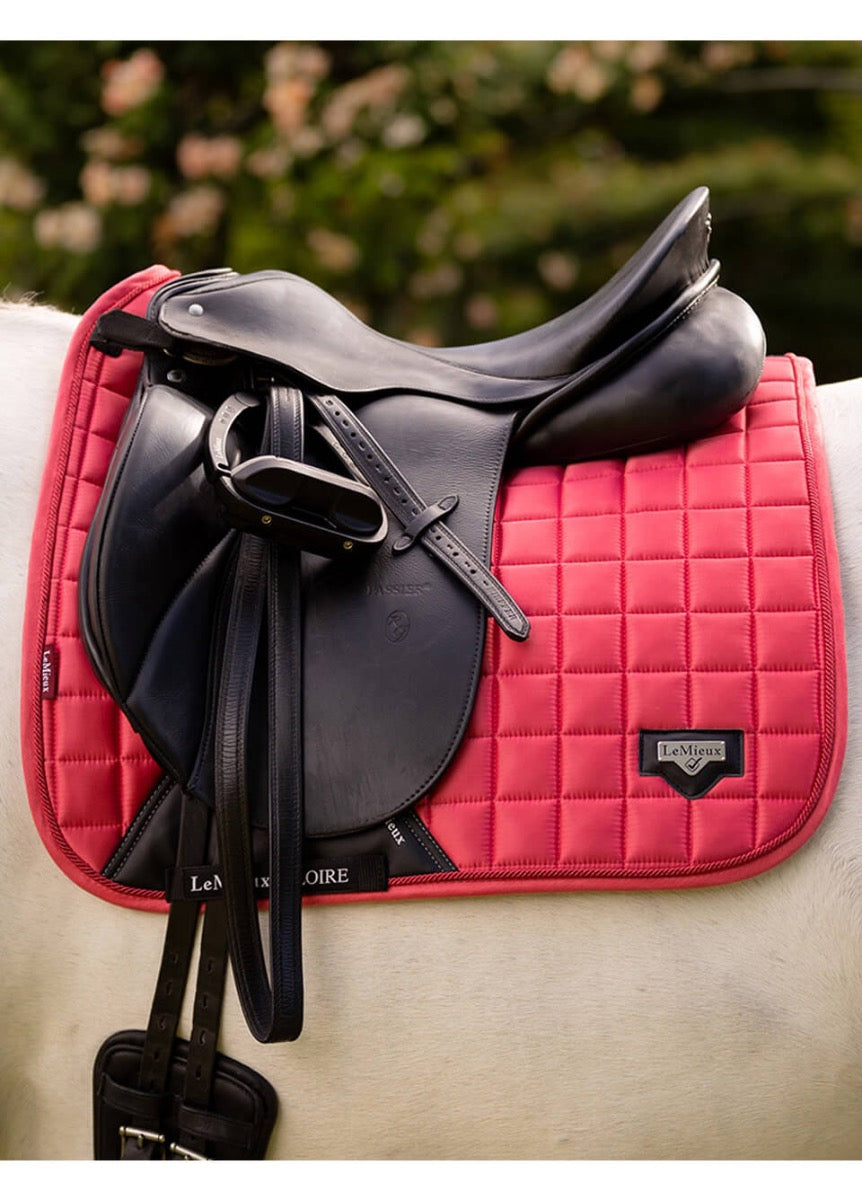 LeMieux Loire Dressage Square - Papaya