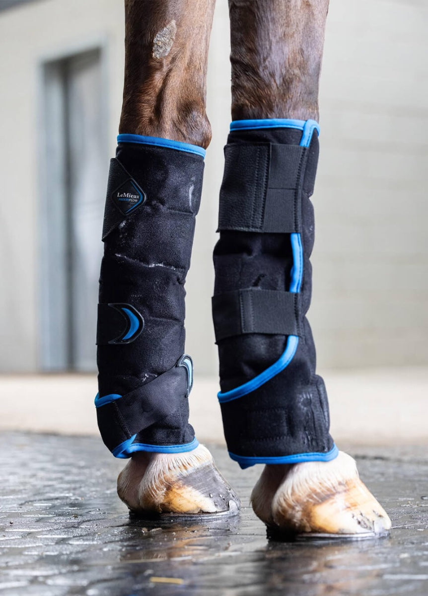 LeMieux Freeze Flow Ice Boots - Black/Blue