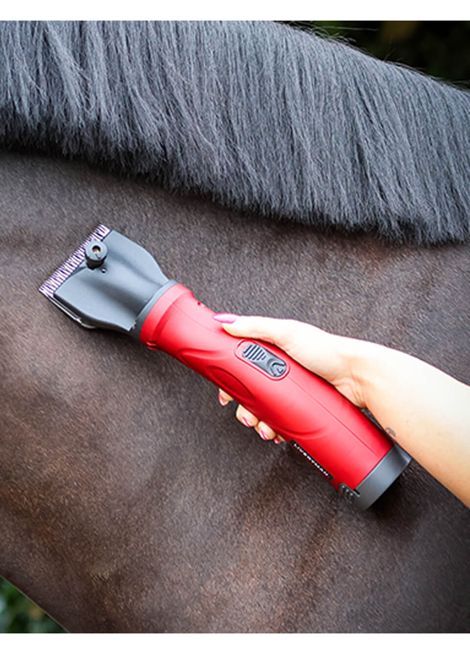 Liveryman Phoenix Cordless Clipper