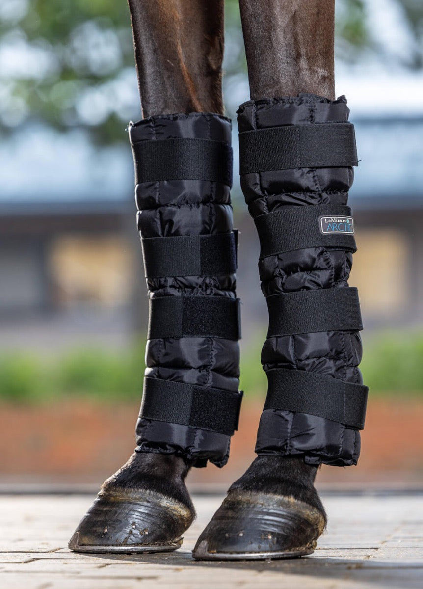 LeMieux Arctic Ice Boots - Black