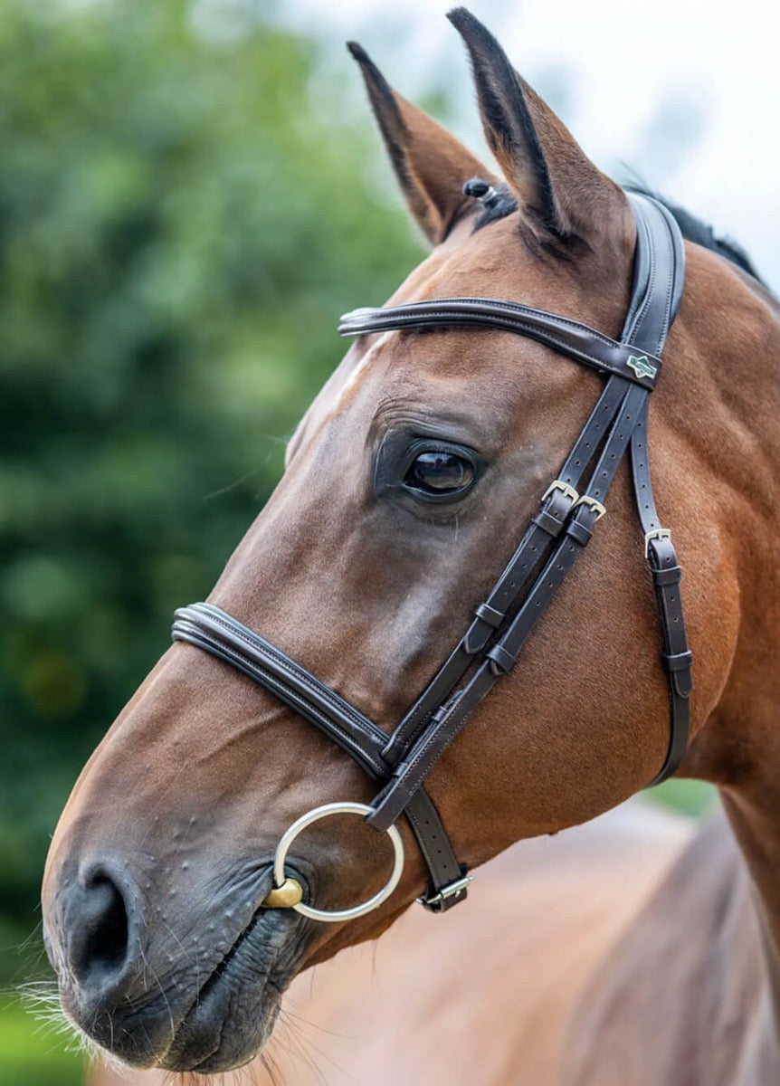 LeMieux Arika Cavesson Bridle - Brown/Silver