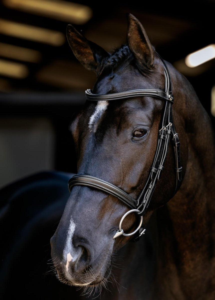 LeMieux Arika Cavesson Bridle - Black/Silver
