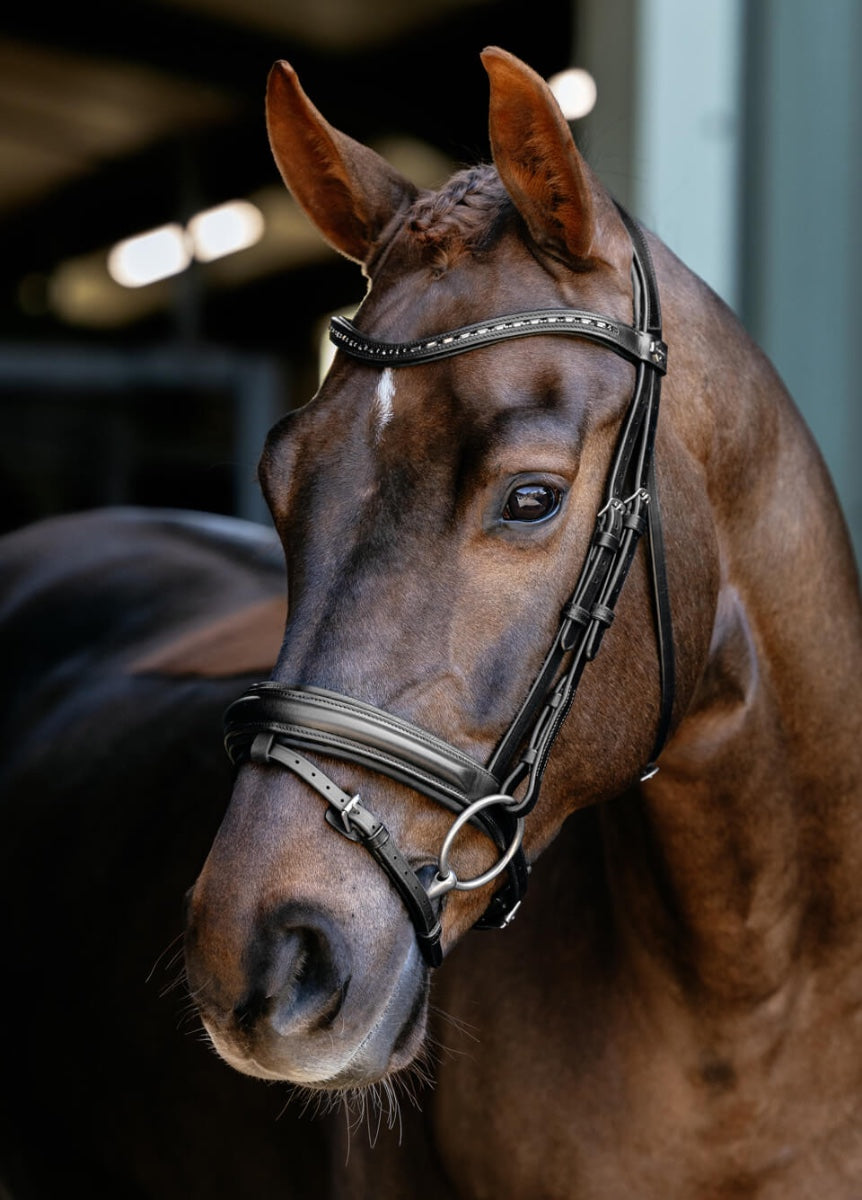 LeMieux Arika Dressage Bridle - Black/Silver